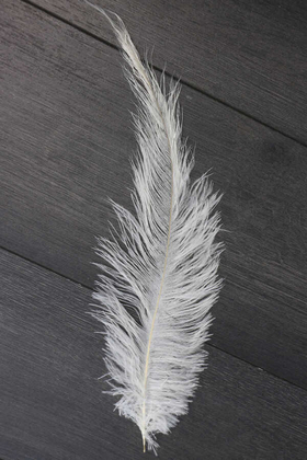 Yapay Çiçek Deposu - Deve Kuşu Tüyü 15-20 cm Beyaz