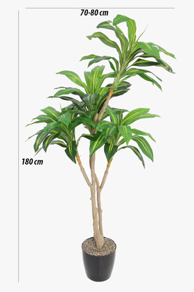 Yapay Ağaç Lüx 4 Gövdeli Cordyline 180 cm Yeşil-Sarı - Thumbnail