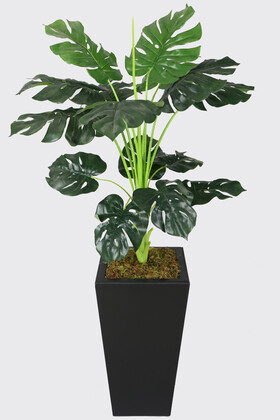 Yapay Çiçek Deposu - Dekoratif Saksıda Yapay Deve Tabanı Ağacı 150 cm ( Monstera Deliciosa)