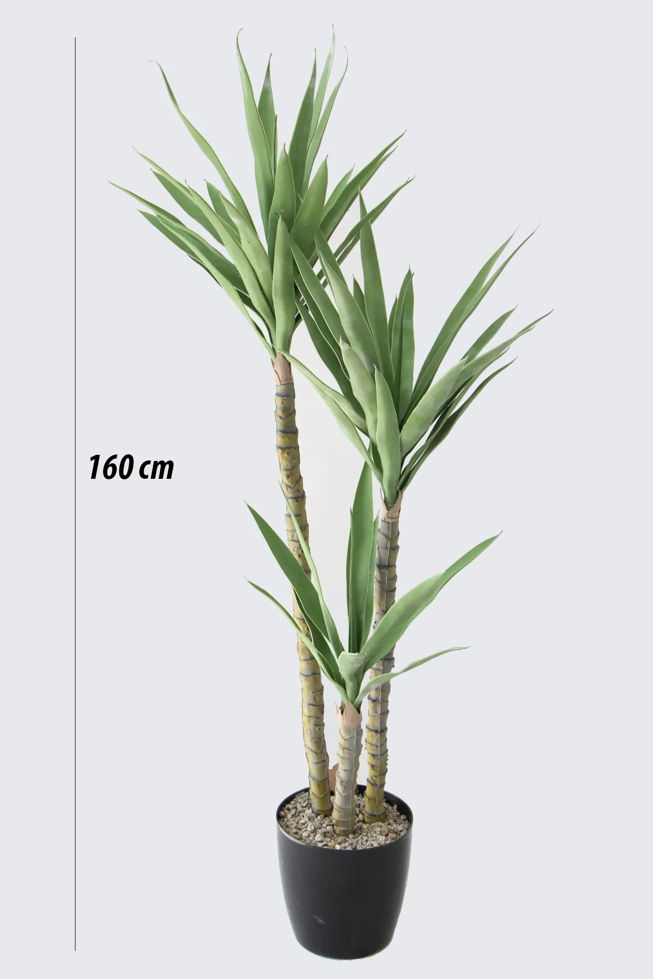 Yapay Ağaç 3 Gövdeli Agave 160 cm Saksılı - Thumbnail