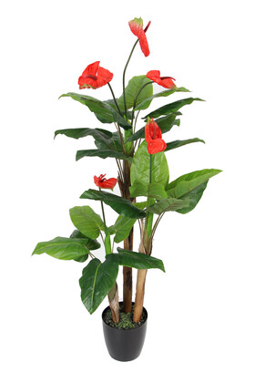 Yapay Çiçek Deposu - Yapay Ağaç 3 Gövdeli Antoryum 160 cm