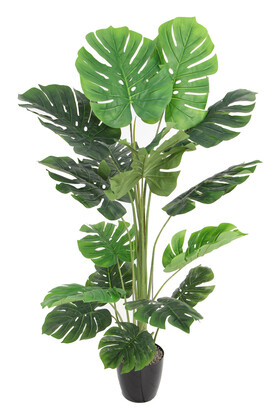 Yapay Deve Tabanı Ağacı (monstera Ağacı) Gerçek Dokulu 16 Yapraklı 150 Cm - Thumbnail