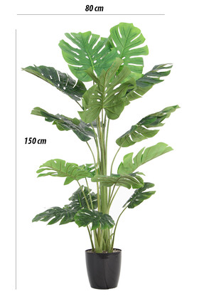 Yapay Deve Tabanı Ağacı (monstera Ağacı) Gerçek Dokulu 16 Yapraklı 150 Cm - Thumbnail