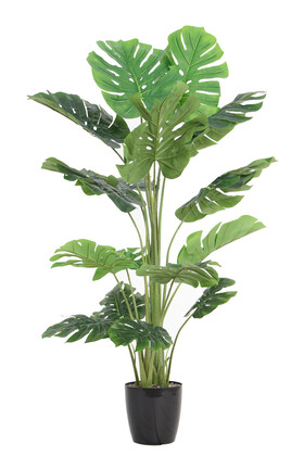 Yapay Deve Tabanı Ağacı (monstera Ağacı) Gerçek Dokulu 16 Yapraklı 150 Cm - Thumbnail