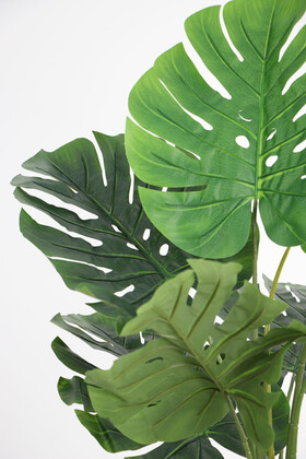 Yapay Deve Tabanı Ağacı (monstera Ağacı) Gerçek Dokulu 16 Yapraklı 150 Cm - Thumbnail