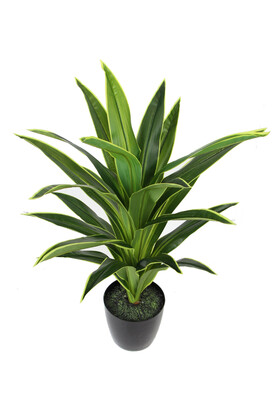 Yapay Ağaç Saksıda Dracaena 100 cm Yeşil-Sarı - Thumbnail