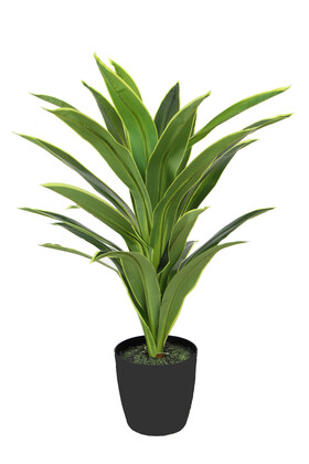 Yapay Ağaç Saksıda Dracaena 100 cm Yeşil-Sarı - Thumbnail