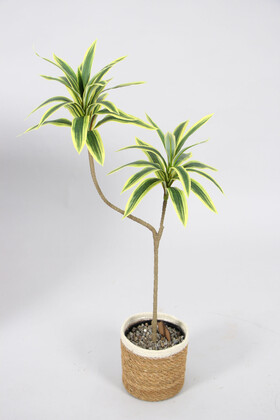 Yapay Çiçek Deposu - Yapay Ağac Dracena 2 Dallı Gerçek Dokulu 90 cm (Hasır Saksılı)