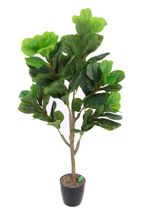 Yapay Çiçek Deposu - Yapay Ağac Ficus Lyrate 150 cm