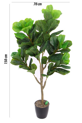 Yapay Ağac Ficus Lyrate 150 cm - Thumbnail