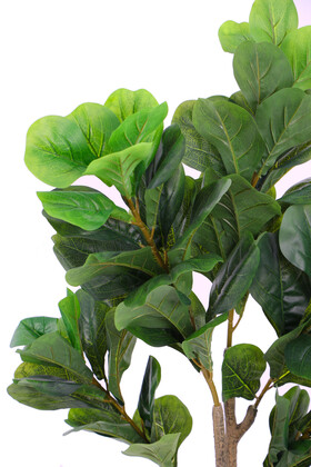 Yapay Ağac Ficus Lyrate 150 cm - Thumbnail