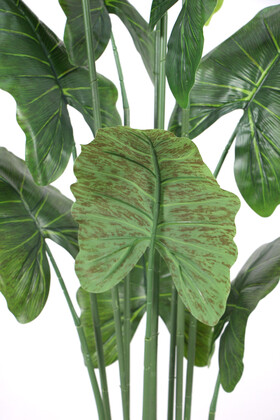 Yapay Ağaç Alocasia Fil Kulağı Ağacı 165 cm - Thumbnail