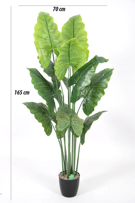 Yapay Ağaç Alocasia Fil Kulağı Ağacı 165 cm - Thumbnail