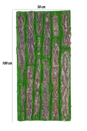 Yapay Duvar Dekoru Naturel Ağaç Kabuğu Yosun 50x100 - Thumbnail