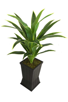 Saksılı Yapay Ağaç Premium Drecina Ağacı 130cm Dracaena Plant (Yeşil-Sarı) - Thumbnail