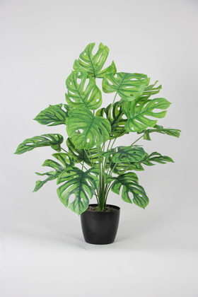 Yapay Devetabanı Ağacı(monstera bitkisi) 18 Yapraklı Siyah Saksıda 80 cm - Thumbnail