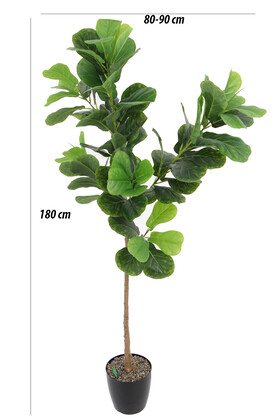 Yapay Ağac Ficus Lyrata 180 cm - Thumbnail