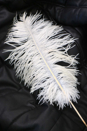 Yapay Çiçek Deposu - Deve Kuşu Tüyü 45-50 cm Beyaz