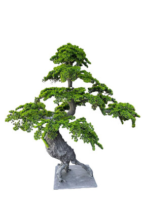 Koçaklar Çiçekçilik - Yapay Lüx Bonsai Ağacı 200 cm KC-3569