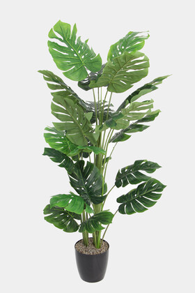 Yapay Çiçek Deposu - Yapay Deve Tabanı Ağacı (monstera Ağacı) Gerçek Dokulu 21 Yapraklı 170 Cm