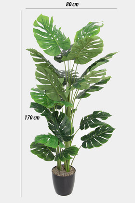 Yapay Deve Tabanı Ağacı (monstera Ağacı) Gerçek Dokulu 21 Yapraklı 170 Cm - Thumbnail