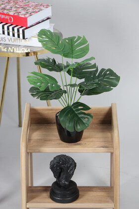 Yapay Devetabanı(monstera) Bitkisi Siyah Saksıda 45 cm - Thumbnail