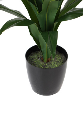 Yapay Ağaç Saksıda Dracaena 100 cm Koyu Yeşil - Thumbnail