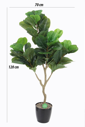 Yapay Ağac Ficus Lyrate 120 cm - Thumbnail