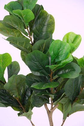 Yapay Ağac Ficus Lyrate 120 cm - Thumbnail