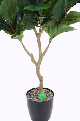 Yapay Ağac Ficus Lyrate 120 cm - Thumbnail