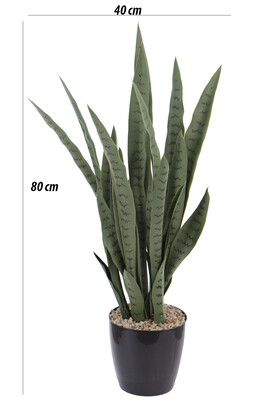 Yapay Paşa Kılıcı Sansevieria Bitkisi 35 Yapraklı 80 cm - Thumbnail